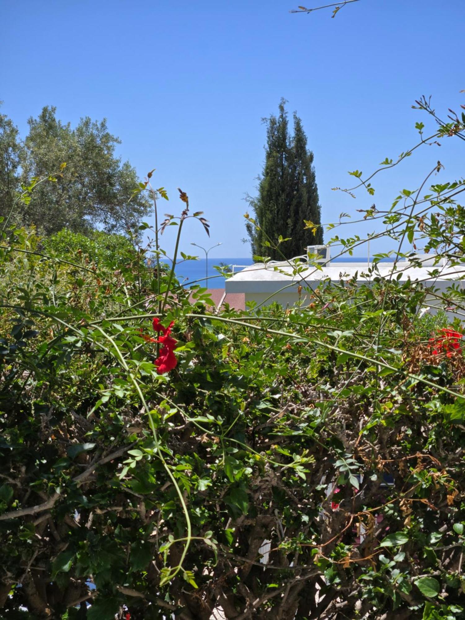 Holiday home Urban Oasis Next To The
