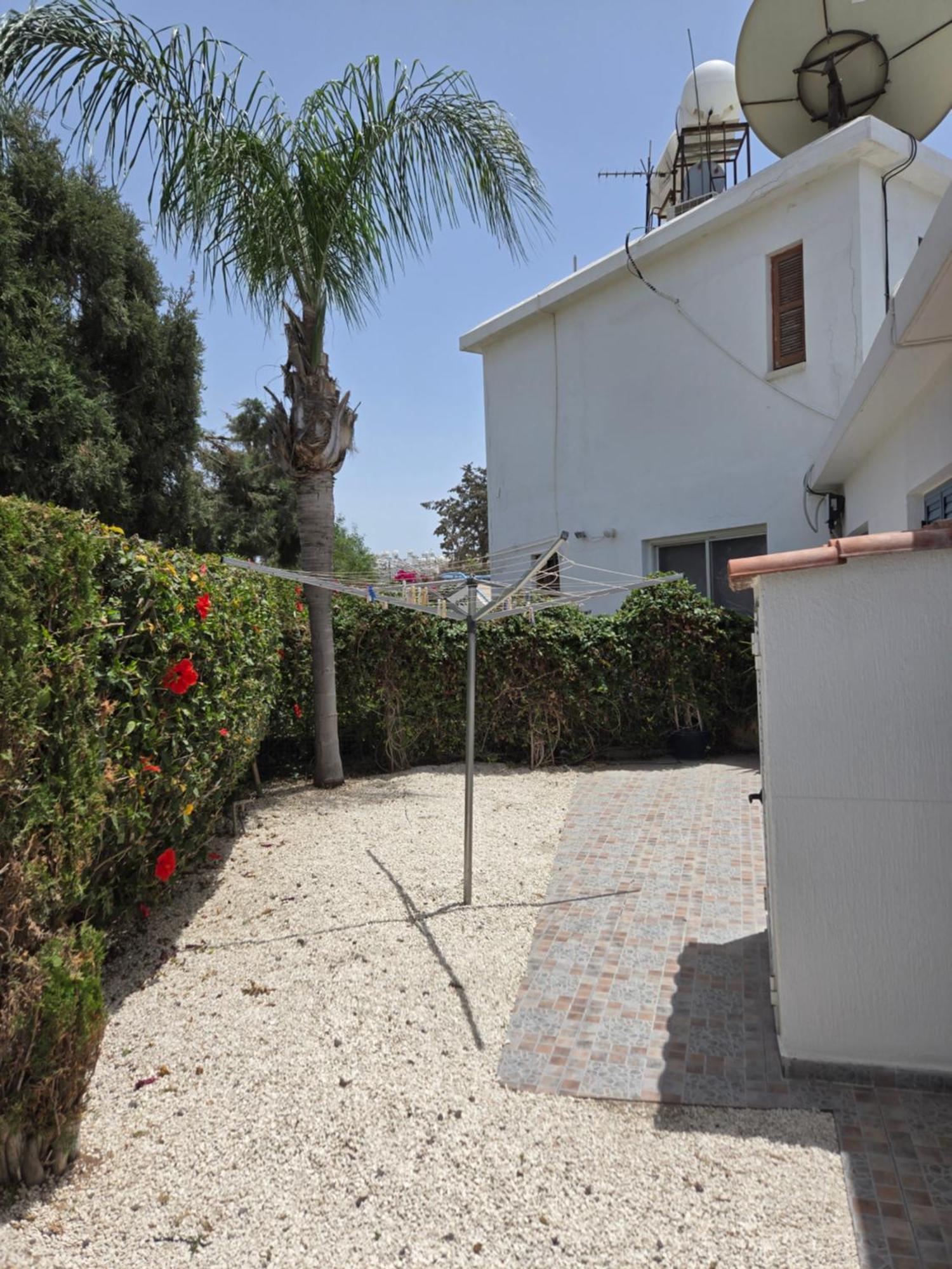 Urban Oasis Next To The Paphos